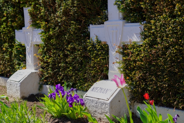 Cmentarz Wojenny w Starych Łysogorkach